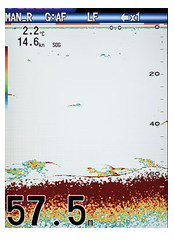 furuno FCV-588 White line